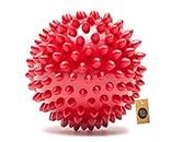 The Dogs Company The Pets Company Natural Rubber Spiked Ball Dog Chew Toy, Puppy Teething Toy, 3 Inches
