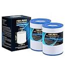 POOLPURE PDM28 Spa Filter Replaces Aquarest Dream Maker 461273 Hot Tub Filter, 2 Pack