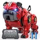 Lterfear Robot Dog for Kids, Remote Control Robot Rechargeable Programing Stunt Robo Dog with Sing, Dance, Touch Function, Robotic Dog Toy for Boys Ages 5 6 7 8 9 10+ Birthday Gifts, Red