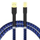 Viborg HiFi USB Cable DAC A-B OCC Digital AB Audio A to B High End 6.6FT/2 Meter USB Printer Cable, USB 2.0 Type A Male to B Male Scanner Cord(2M)