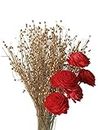 Red Dried Flowers Bouquet, Dried Flower Bouquet, Natural Floral Decorations, red Rose Bouquet, Wedding and Party Decorations, Room and Dining Decor Items, DIY Products