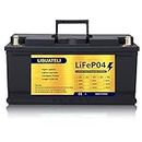LISUATELI Lifepo4 12V 100Ah Lithium Iron Battery | Deep Cycle Battery | Low Temperature Charging | Built-in BMS | For Solar System, RV,Camping,Trolling Motor,Marine,Overland