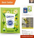 Versatile Flower Food for All Flower Types - Fresh Flower Arrangements 5g Pack