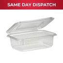 Food Storage Plastic Salad Containers with Hinged Container