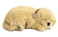 Perfect Petzzz ® Golden RetrieverThe Original Breathing Pet Puppy New Huggable Soft Version Plush Toy Gift Bundle