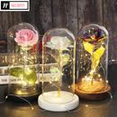 Beauty and The Beast Rose in Glass Dome LED Galaxy Rose Birthday Mothers Gift UK
