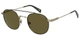 Levi's LV 1013/s Sunglasses, J5G/QT Gold, 54 Unisex