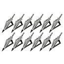 TOPARCHERY 12pcs 100Grain Broadheads with 3 Sharp Blades Screw-in Arrows Heads Replaceable Arrows Heads for Archery Hunting Recurve Compound Bow Crossbow Arrows (Silver)