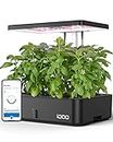 iDOO WiFi Hydroponics Growing System, 12 Pods Smart herb Garden, APP Controlled, Auto-Timer, Indoor Garden with Pump System, Grow Light for Home Kitchen Gardening