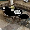 Zareen Mart Marble Coffee Table Round Nesting Tables Set of 3 with Golden Metal Frame for Home Decor Living Room Furniture (Gold Black)