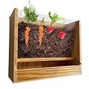 JONOMI Home & Garden™ Vegetable Root Viewer - Indoor Planter with Window to Watch Roots as They Grow - Ideal for Teachers, Parents, Grandparents - Engaging Science Project for Kids and Students