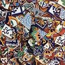Genuine Mexican Talavera Ceramic Broken Tiles Mix, Hand Painted, Customize Your Walls, Counter Tops, backsplash and Other Mosaic Crafts (10 LB)