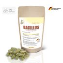 Bacillus Subtilis DSM 21097 with Barleygrass Juice Capsules Gluten Free Vegan