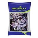 Gennext Seeds Basil Purple Seeds