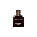 Dolce & Gabbana Pour Homme Intenso, Eau De Parfum Spray, For Men - 125 ml / 4.2 fl.oz
