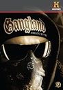Gangland: Complete Season 5 [DVD] [Region 1] [US Import] [NTSC]