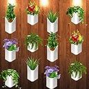 TechHark® Wall Hanging Flower Pots for Home and Garden Decoration - Front H- 4", Back H- 6.5", Side Width- 5.5", Back W- 5" (Pack of 24)