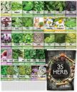35 Herb Seed Kit Fresh Herbs All Year Round Indoor & Outdoor Seeds For Planting