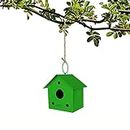 TrustBasket Colorful Metal Bird House (Green) for Outside, Patio, Backyard, Balcony and Home Garden Hanging | Beautiful Bird Nest for Bird Food and Water Feeder