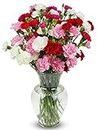 BENCHMARK BOUQUETS - 20 Stem Rainbow Mini Carnations (Glass Vase Included), Next-Day Delivery, Gift Fresh Flowers for Birthday, Anniversary, Get Well, Sympathy, Graduation, Congratulations, Thank You