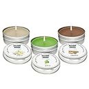 Axiom Pack of 3 Light Scented Tin Candles 12 Hours Long Lasting Combo Apple, Cinnamon, Vanilla Smokeless Stress Relief & Aromatherapy Natural Candle Gift for Mothers Day & Valentine's Day
