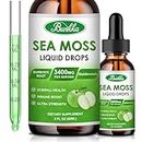 Bunkka Sea Moss Liquid Drops-Organic Irish Sea Moss, Burdock Root and Bladderwrack Supplement for Immune System, Gut, Skin & Thyroid Support- Vegan, Gluten Free, Non GMO, 2 Fl Oz, 30 Servings