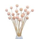 CISDUEO 20 Pcs Dried Flowers Craspedia Billy Balls Flowers Billy Buttons Pink Dried Floral Bouquet Arrangements for Wedding Home Tall Vase Boho Decor