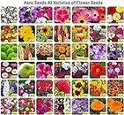 Aero Seeds 40 Varieties of Flower Seeds Combo For Your Garden Beautiful Bloom Germination Seeds.