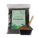 PePar Leaf Cocopeat Ready-to-Use Plant Media Potting Mixture 2 kg of Cocopeat for Plants for Home Gardening: Hydroponic Soil (Loose and Dry)