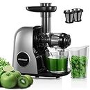 Juicer Machines, HOUSNAT Slow Masticating Juicers Whole Fruit and Vegetable, Professional Cold Press Juicer Extractor with Quiet Motor and Reverse Function Easy to Clean, Brush & Recipes Included