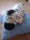 Kissen Haustiere Reißverschluss Zebra Dream Lites 10" weiches Plüschkissen Top Zustand