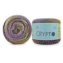 Ganga Acrowools Crypto -100% Acrylic Yarn, Hand Knitting and Crochet Yarn, Pack of 2 Balls - 100gm Each. Shade no - PTT2526