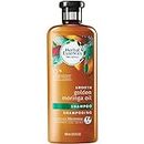 Herbal Essences Bio:renew Golden Moringa Oil Shampoo, 13.5 Fl Oz