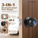 Cerradura de seguridad biométrica inteligente con huellas dactilares para dormitorio hotel oficina garaje recargable