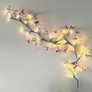 XINXIANLIAN Willow Vine Light with Butterfly 48LED 5.6FT Enchanted Wall Decoration Vine Lights 8 Light Modes for Indoor Home Wall Decoration(Warm White)