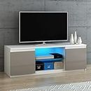 Panana TV Schrank mit LED-Leuchten Lowboard Fernsehschrank Fernsehtisch Sideboard TV Möbel Tisch Board mit 2 Türen,für Wohnzimmer, 120 x 40 x 40 cm (Weiß+Grau)