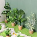 Dollhouse Mini Tree Potted Plant Green Leafed Plant Bonsai Home Garden Decor Toy