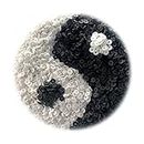 4000Pcs White Clay Beads Black Clay Beads for Bracelets Making, Black and White Heishi Clay Flat Beads Disc Beads Polymer Round Spacer Beads for Jewelry Making (Black and White)