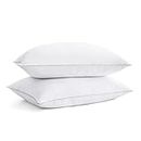 puredown® Goose Feathers Bed Pillows, 100% Cotton Cover, Queen Size Hotel Collection Pillows Set of 2 for Sleeping with Silver Piping, Feather and Polyester Filling