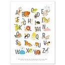 kizibi® ABC Poster DIN A2 for Children's Room, Alphabet Poster for Girls and Boys, Letters for Learning, Animal Learning Poster with Letters for Nursery, Preschool or Primary School