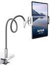 Lamicall Gooseneck Tablet Holder, Universal Tablet Stand - 360 Flexible Lazy Arm Holder Clamp Mount Bracket Bed for 4.7~13" 2024 iPad Pro Air mini, Samsung Tab, iPhone, Switch, more Devices - Gray