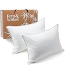Fern and Willow Cuscino King – 51 x 91 in cotone con alternativa al piumino – Set di 2 cuscini rinfrescanti per dormire sulla schiena e sul fianco in qualità alberghiera