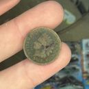 1877 Indian Head Cent Circulated Key Date Coin