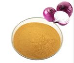 Allium cepa (Onion) 10:1 Extract Quercetin Antioxidant - Promotes Heart Health