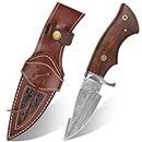 QEPAA CRAFTS 10” Handmade Fixed Blade Hunting knife with Leather Sheath,Full Tang Damascus steel Hunting Knives,Bushcraft knives-Ideal for Camping,Skinning, Outdoor