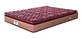 peps Springkoil Bonnell Pillow Top 6-inch Queen Size Spring Mattress (Maroon, 78x60x06) with Two Free Pillow
