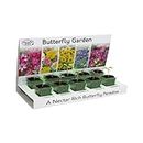 Pronto Seed Grow Your Own Flowers - Indoor Plant Kit - Eco-Friendly - 5 Seed Varieties - Easy to Grow - Gardening Pack - Gift for Teachers, Men & Women - Beginner Friendly