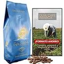 Carabela Café en grano descafeinado natural 1kg + guía de café arábica | Mezcla de los mejores productores mundiales | Decaf Blend - Premium | Sabor intenso