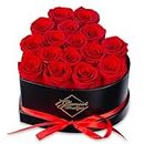 GLAMOUR BOUTIQUE 16-Piece Forever Flowers Heart Shape Box - Preserved Roses, Immortal Roses That Last A Year - Eternal Rose Preserved Flowers for Wife, Mothers Day & Valentines Day Gift for Her - Red