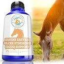 HealthyAnimals4Ever Horse All-Natural Equine Gastric Ulcer Syndrome (EGUS) Support -Reduces Ulcers & Other Stomach Lining Issues - Supplements for Horses - Homeopathic & Highly Effective-300 Tablets